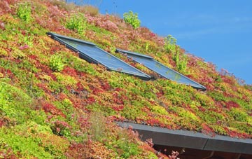 Penprysg living roof systems